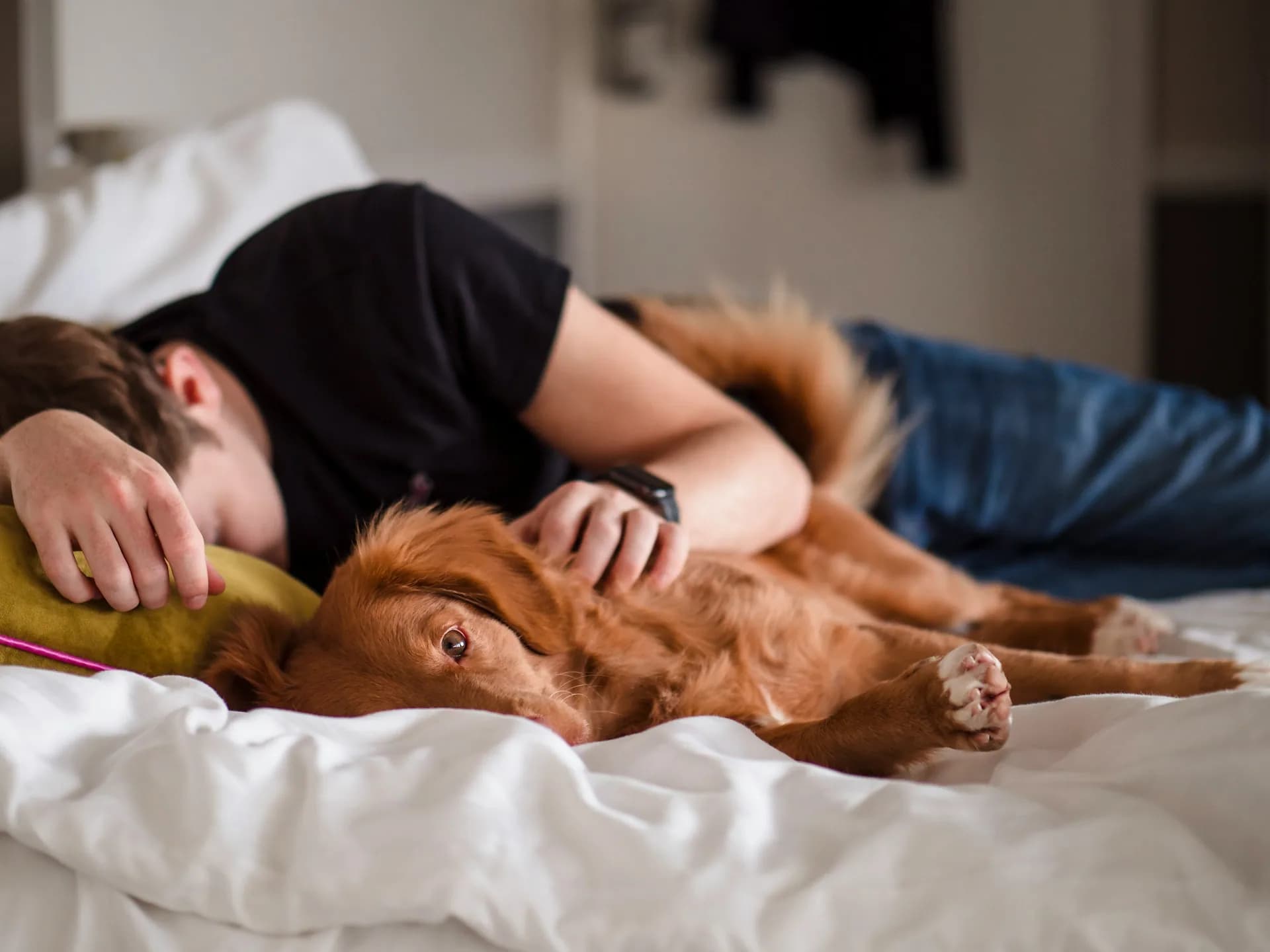 Rest and recovery for metabolic rhythm